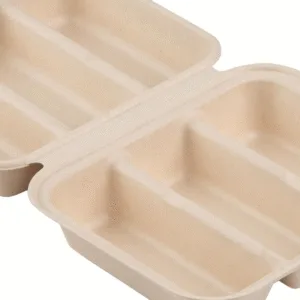 Umweltfreundliche Lebensmittelverpackungsboxen | Ideal für Catering & Restaurantlinien (Großhandel)
