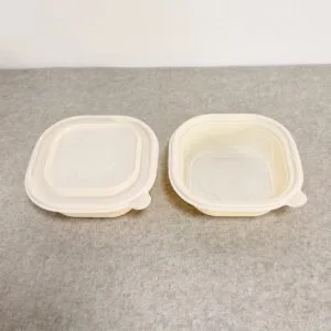 Biologisch abbaubare Take-Away-Behälter | Fabrikdirekt OEM/ODM | Bioleader® Hersteller
