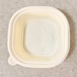 Biologisch abbaubare Take-Away-Behälter | Fabrikdirekt OEM/ODM | Bioleader® Hersteller