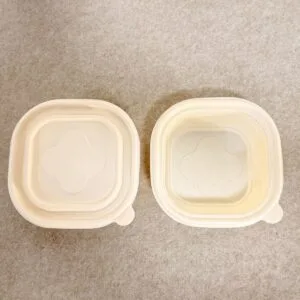 Biologisch abbaubare Take-Away-Behälter | Fabrikdirekt OEM/ODM | Bioleader® Hersteller