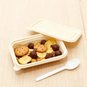 生分解性食品容器 | 工場直販 OEM/ODM | Bioleader®メーカー