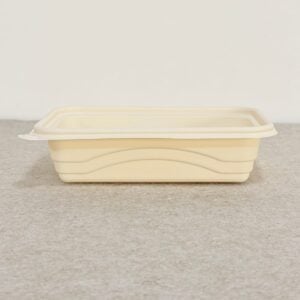 Biodegradable Containers for Food | Factory-Direct OEM/ODM | Bioleader® Manufacturer