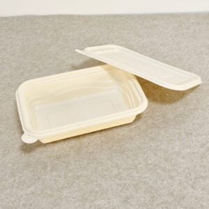 Biodegradable Containers for Food | Factory-Direct OEM/ODM | Bioleader® Manufacturer
