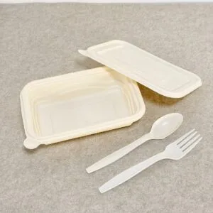 Biodegradable Containers for Food | Factory-Direct OEM/ODM | Bioleader® Manufacturer