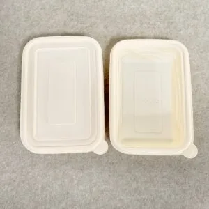 生分解性食品容器 | 工場直販 OEM/ODM | Bioleader®メーカー