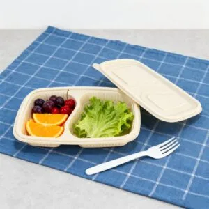 Cornstarch Food Container Tray With Lid 650ml 2-Compt.| Bioleader® Cornstarch Tableware Manufacturer
