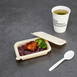 Biodegradable Containers with Lids | Bioleader® Biodegradable Tableware
