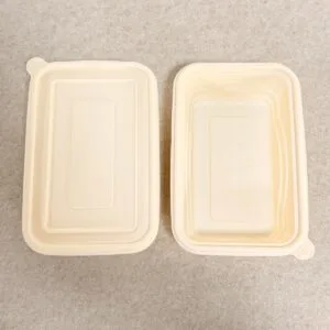 Biodegradable Containers with Lids | Bioleader® Biodegradable Tableware