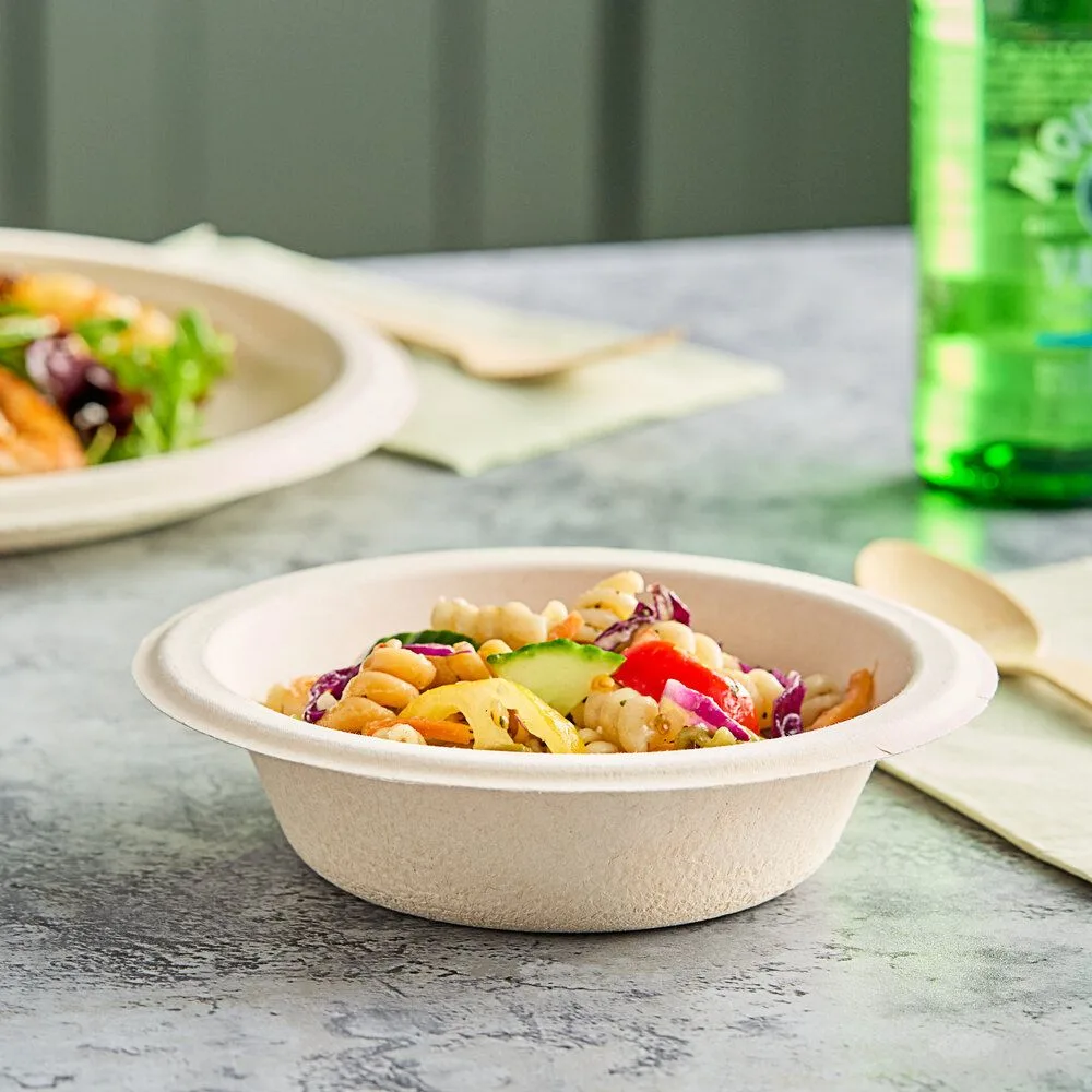 Eco-friendly biodegradable take out container bowls made from sugarcane bagasse for catering and restaurant supply