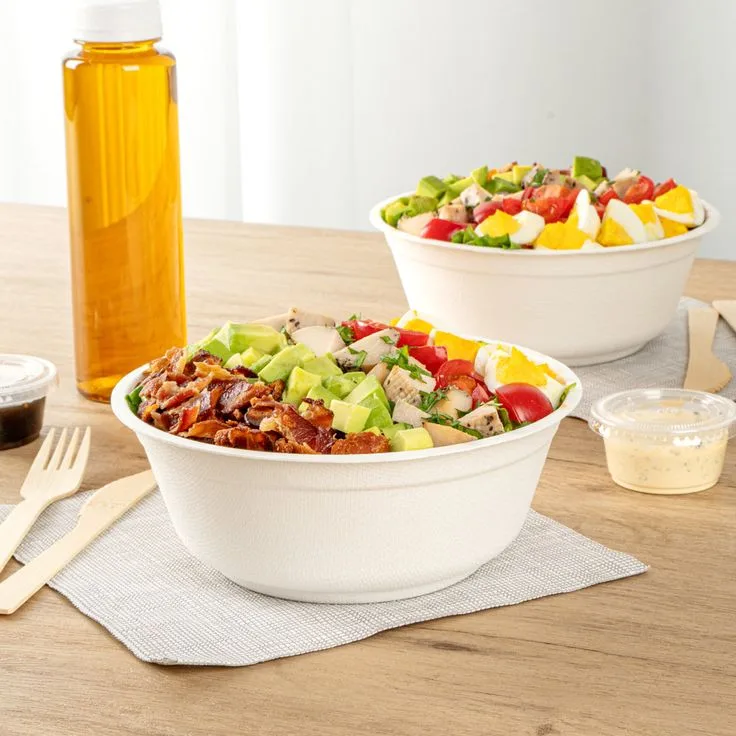 Eco friendly disposable bowls with lids made from sugarcane bagasse for sustainable takeaway and catering packaging