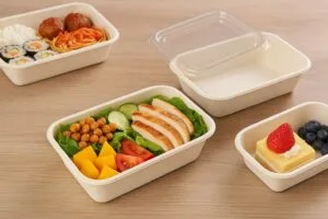 Sugarcane Bagasse Trays with Lids