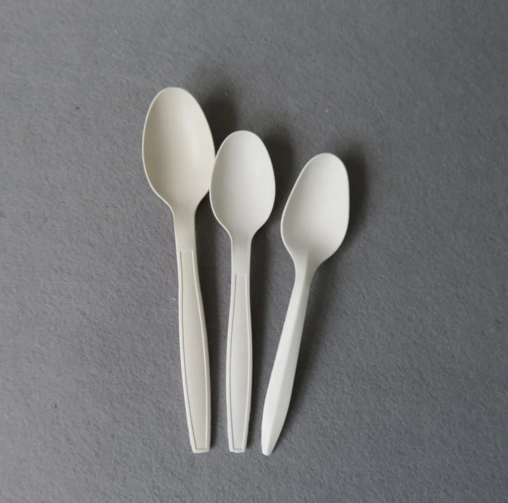 PLA cornstarch compostable plastic spoon for cold foods