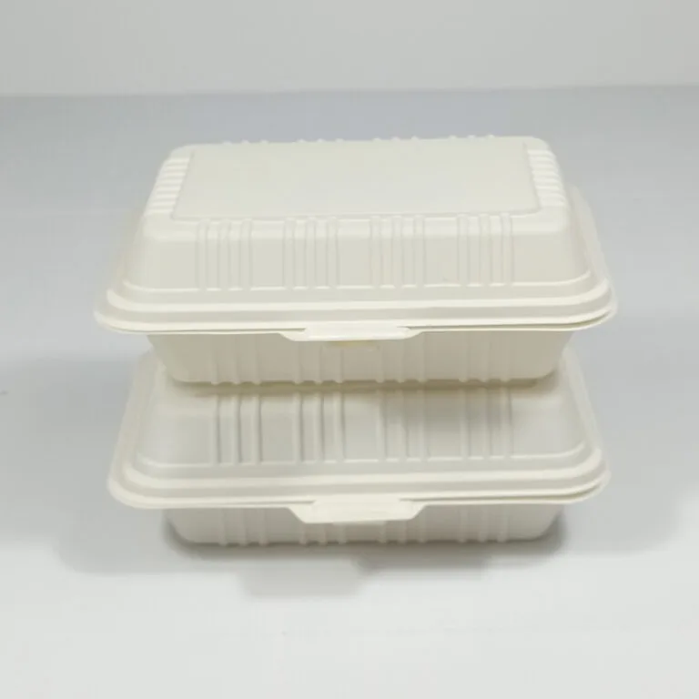 Bioleader® Biodegradable Plastic Lunch Boxes – Compostable and Eco Friendly Takeout Containers