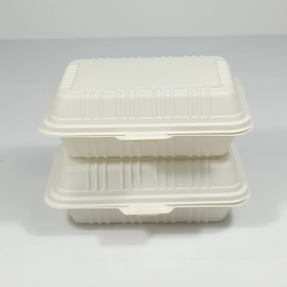 Bioleader® Biodegradable Plastic Lunch Boxes – Compostable and Eco Friendly Takeout Containers