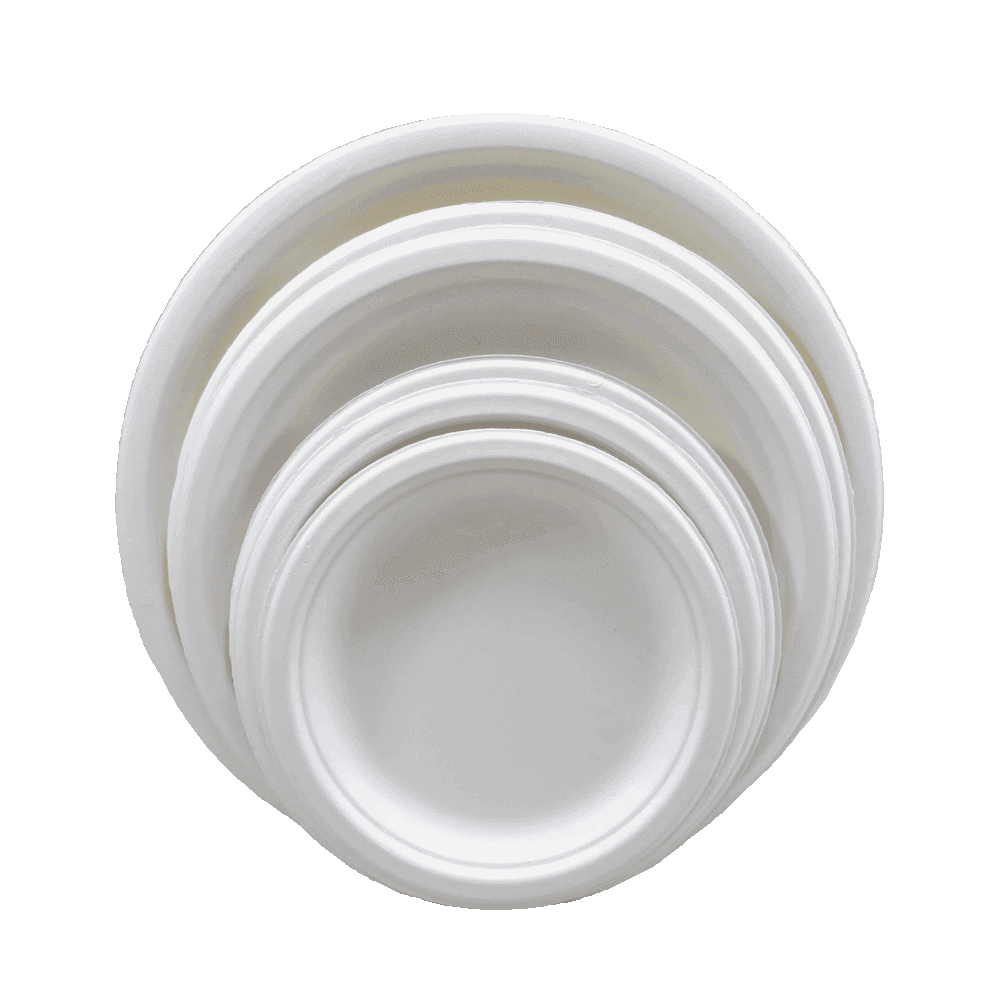 Sugarcane Bagasse Plates