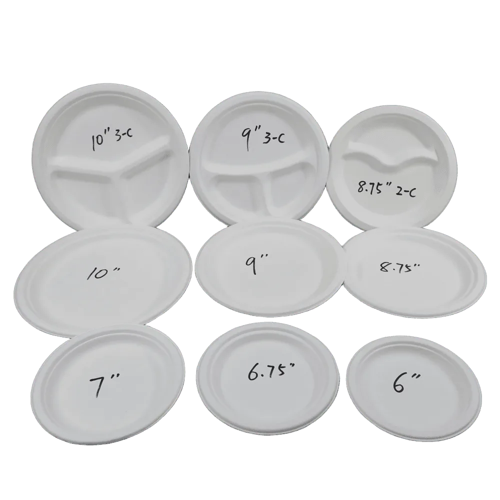 bagasse paper plates