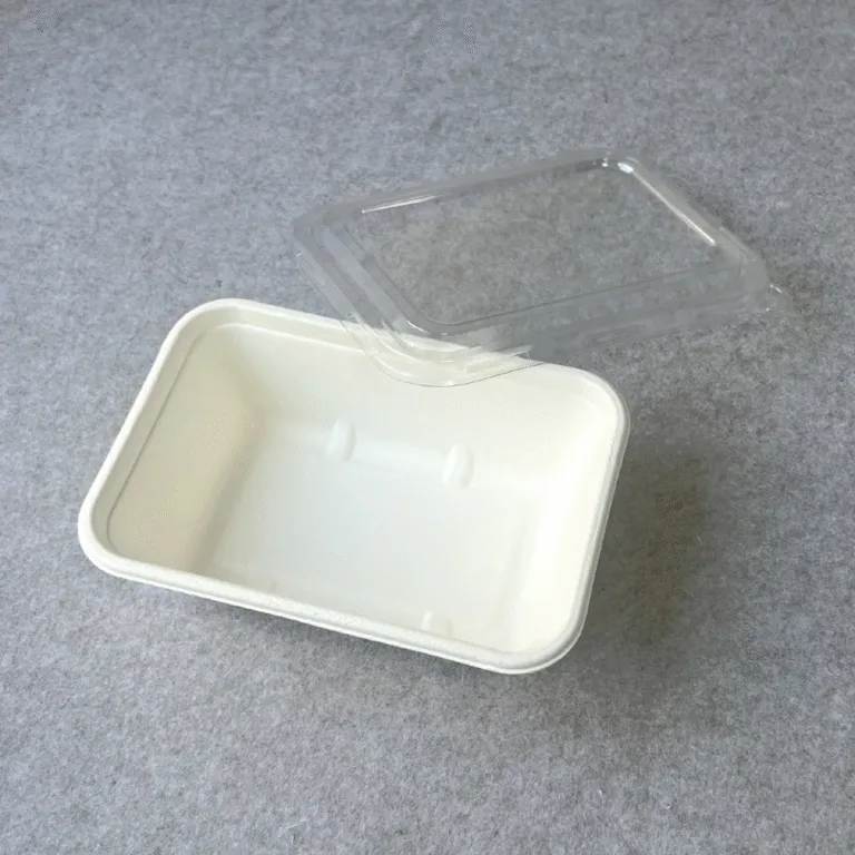 Compostable bagasse food tray with a clear PET lid for sustainable takeout and food packaging