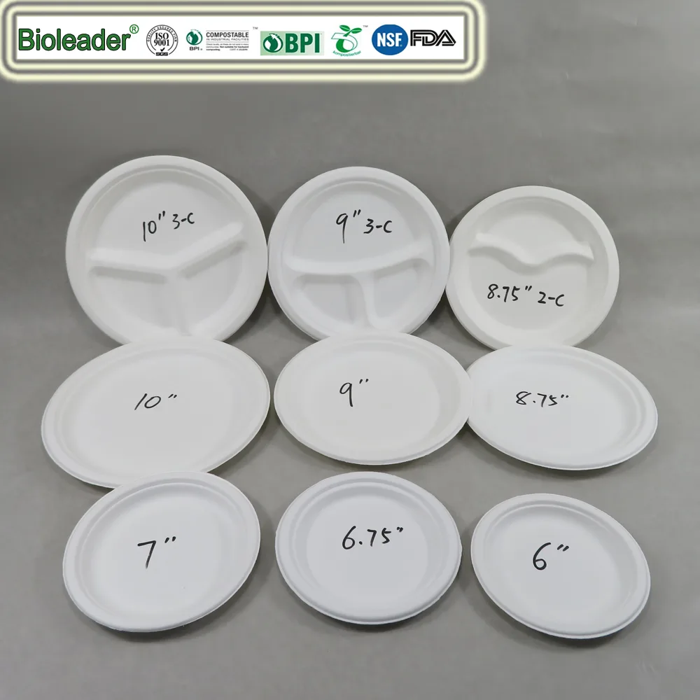Biodegradable Plates Size 6–10 Inch Round Square Oval