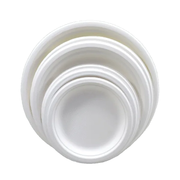 Piatti senza plastica: alternative sostenibili ed ecologiche per il divieto globale della plastica