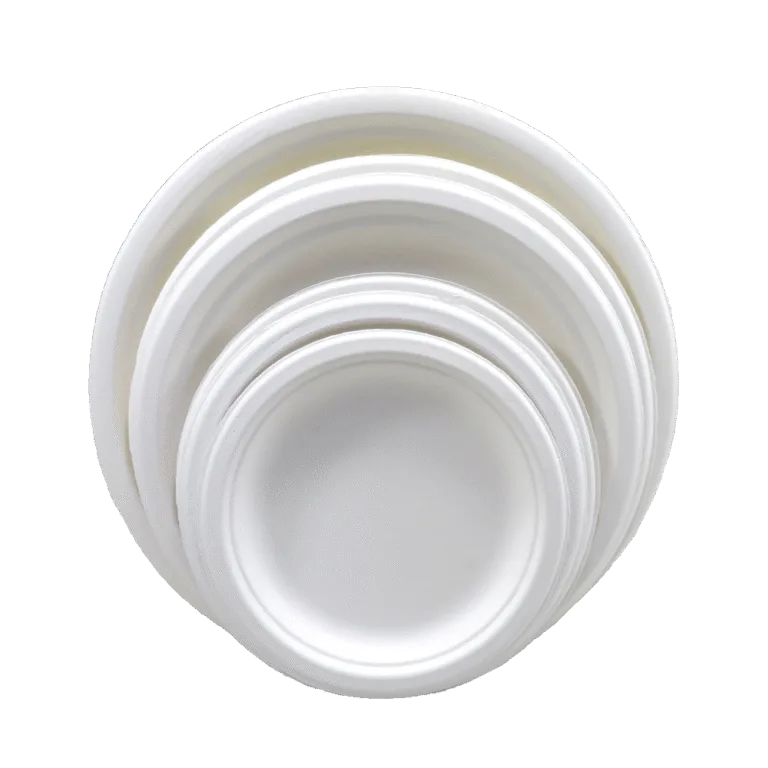 No a los platos de plástico Alternativas sostenibles y ecológicas para la prohibición mundial del plástico