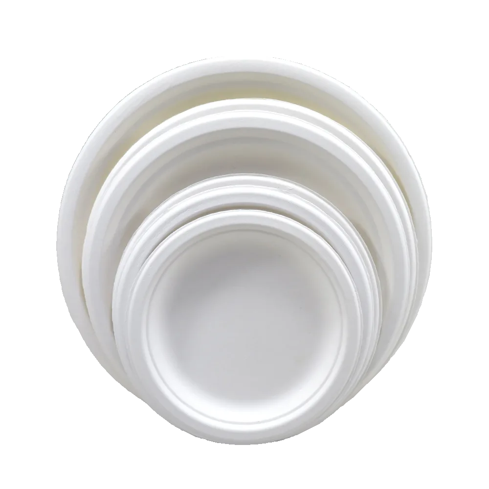 Geen plastic borden Duurzame en milieuvriendelijke alternatieven voor wereldwijd plastic verbod