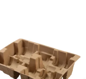 bagasse packaging trays