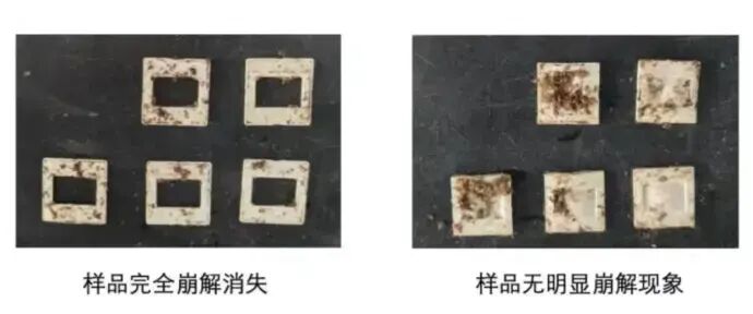 difference between truly biodegradable products and those falsely marketed