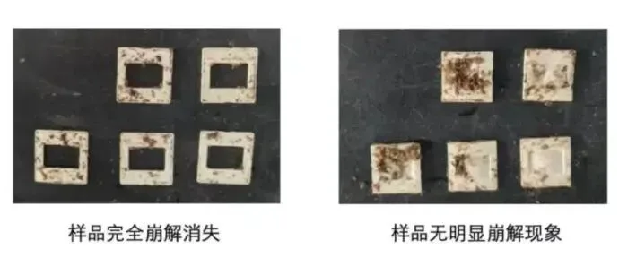 la différence entre les produits réellement biodégradables et ceux faussement commercialisés