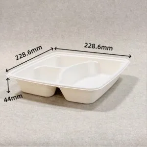 1000ml 3 Compartment Compostable Takeaway Bento Box with Lid | Bioleader®