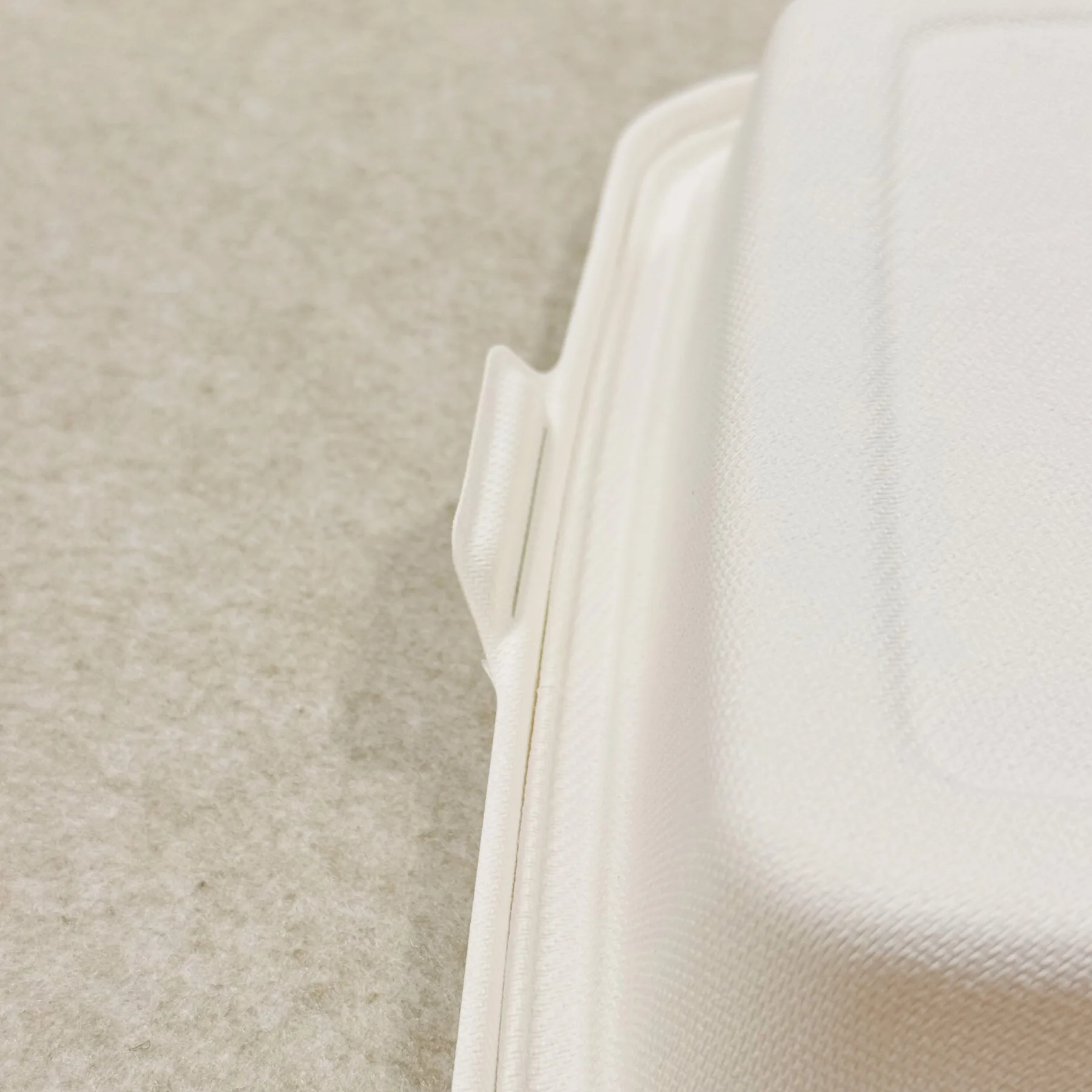 Contenant alimentaire en bagasse 9 "x9" texture et détails