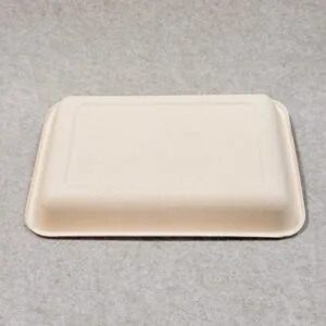 Imagem de destaque do tabuleiro para fruta biodegradável Bioleader, realçando o material isento de plástico, o valor compostável, a construção robusta e a adequação para embalagens de fruta e produtos frescos.