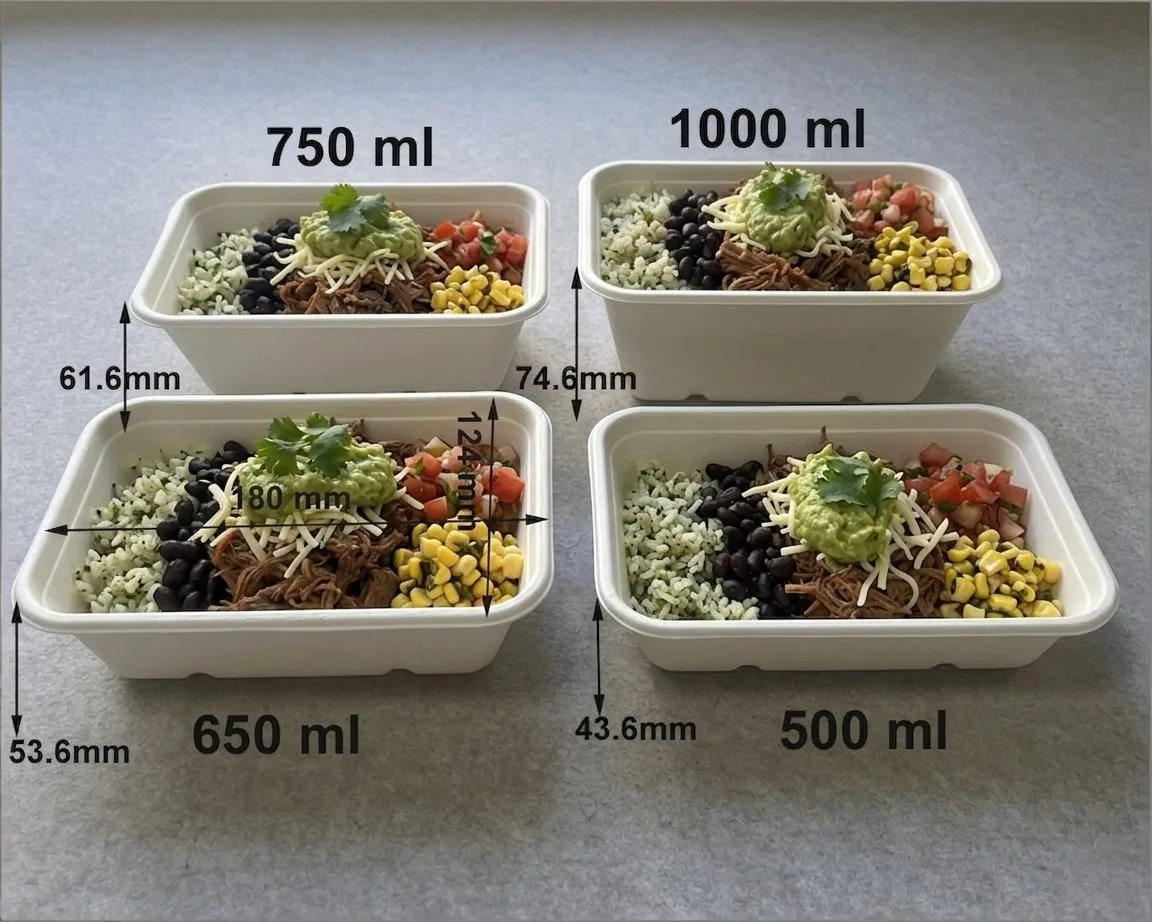 Chipotle Burrito Bowl Takeaway Food Container