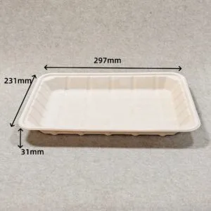 Composteerbare Bagasse Vlees Tray 12″ x 9″ Plastic-vrije Pulp Molding Tray | Bioleader®
