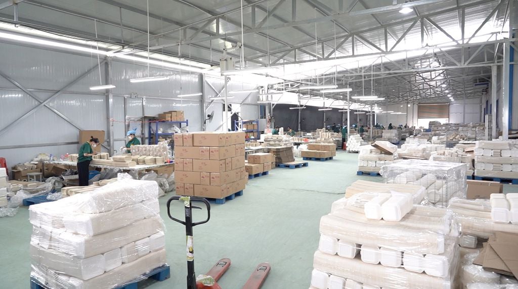 Проверка и последняя упаковка посуды из багассы