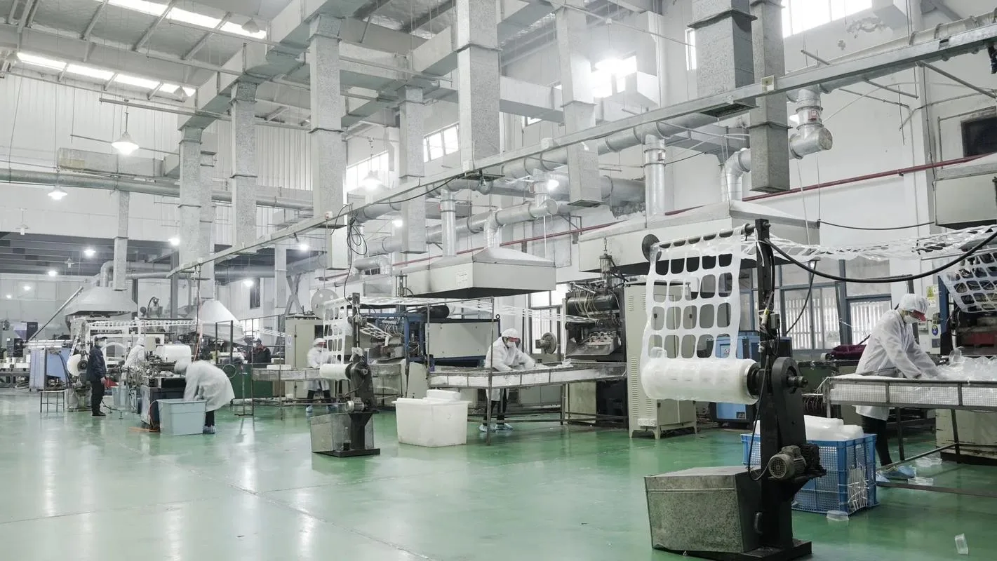 Integrated manufacturing facility for eco-friendly cornstarch and PLA cups and bowls with precision molding.