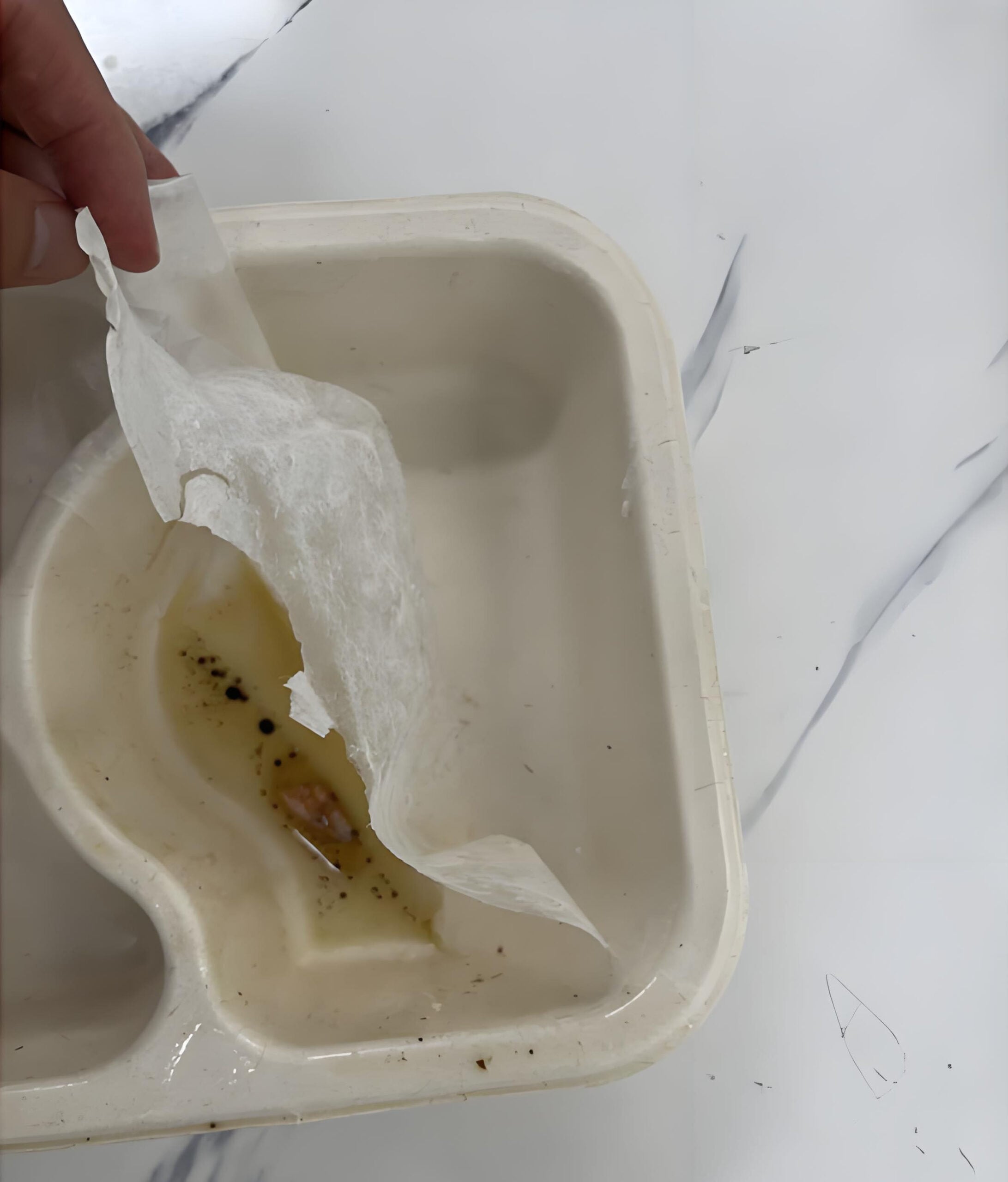 tabuleiro de bagaço de cana-de-açúcar tabuleiro de mesa revestimento de laminação PE PLA