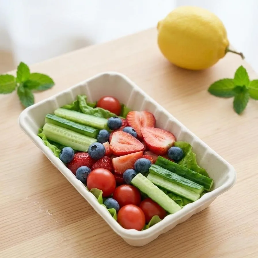 Sugarcane bagasse trays for fruit and food presentation