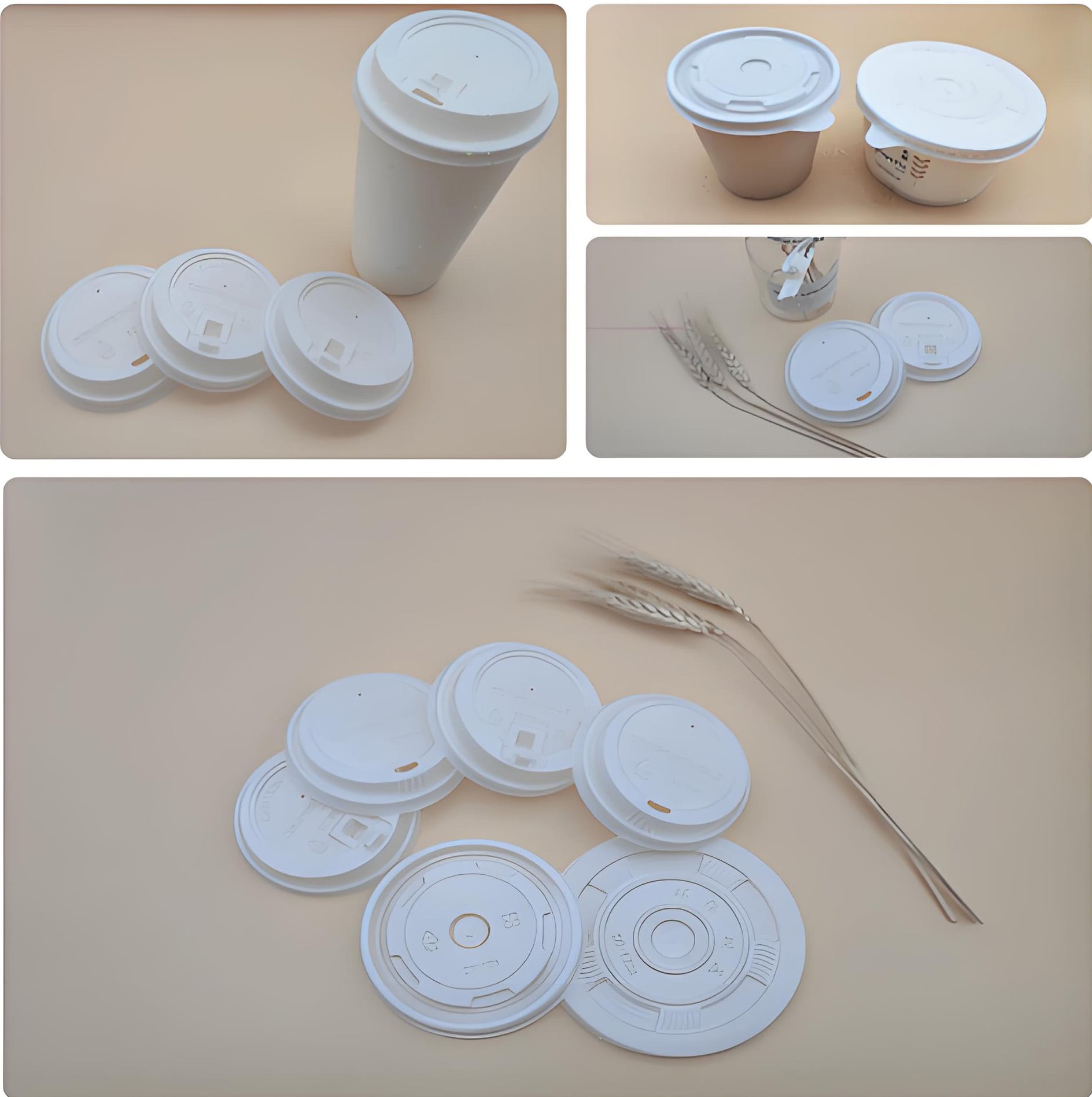 Compostable CPLA Cup & Bowl Lids