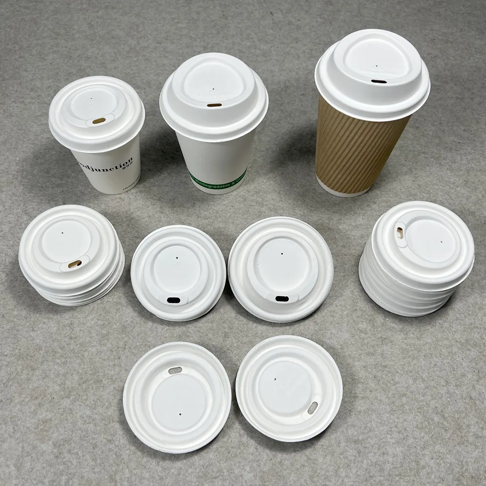 bagasse pulp lids