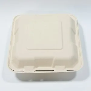 front view of 8 x 8 3 compartment sugarcane bagasse clamshell box for takeaway meals