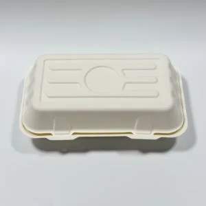 Composteerbare Sugarcane Hoagie Clamshell Box 10 x 6 inch plasticvrije meeneemdoos volledig product
