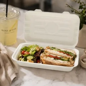 Composteerbare Sugarcane Hoagie Clamshell Box gebruikt voor broodjes, wraps en meeneemmaaltijden