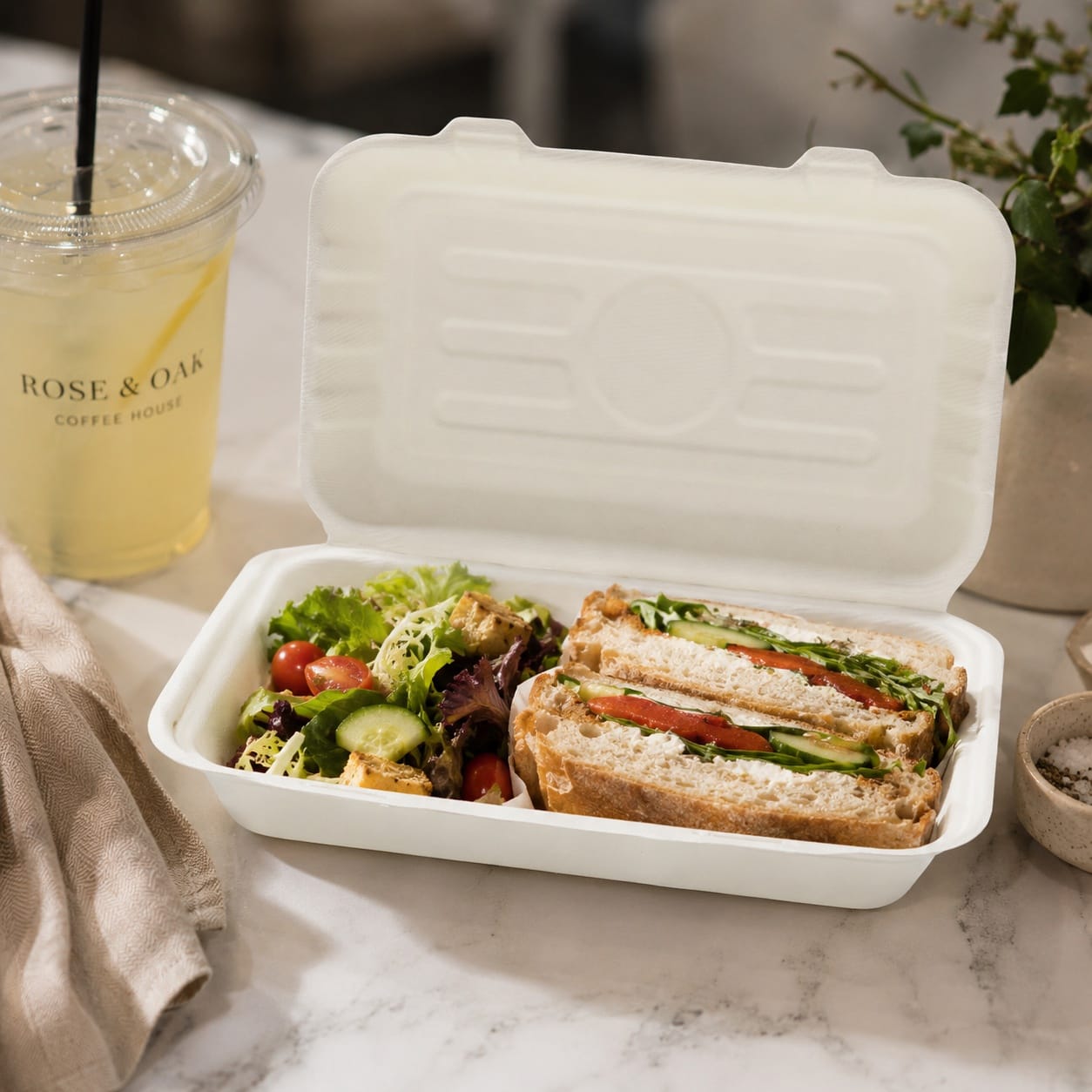Plastic-free sugarcane takeout box for café deli catering and grab-and-go food packaging