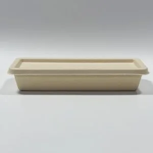 Plastic-free sugarcane bagasse sushi takeout box with lid for restaurants and catering