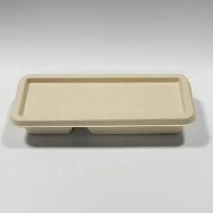 Biodegradable 2-compartment sugarcane sushi box with lid for deli food and bento meals
