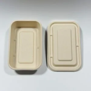 バイオリーダー社製 堆肥化可能なサトウキビキャセロールエアラインミールボックス（蓋付き）6 x 4インチ