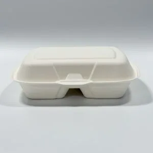 Compostable Sugarcane Clamshell Box 8 x 8 inch 2-compartment sugarcane takeout container full product view