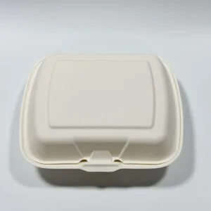 Compostable Sugarcane Clamshell Box 8 x 8 inch 2-compartment sugarcane takeout container full product view