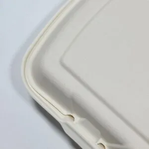 2-compartimenten meeneemverpakking van suikerriet 8 x 8 inch composteerbare clamshell doos detailweergave