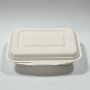 Caja para llevar de caña de azúcar ecológica 6.7 x 5 contenedor de comida tipo clamshell biodegradable, vista completa del producto